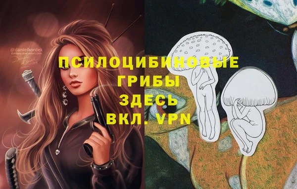 COCAINE Новокубанск