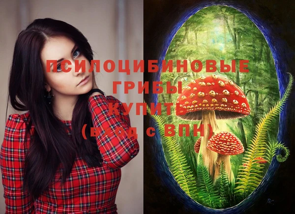 apvp Новодвинск